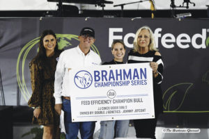 Feed Efficiency Champion Bull