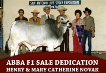 ABBA F1 Sale Dedication – Henry & Mary Catherine Novak