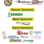 International-Field-Day-sponsors