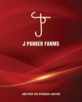 JPeters-Flipbook-littlecover