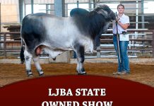 LJBA State Owned Show