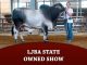 LJBA State Owned Show