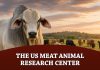 The US Meat Animal Research Center