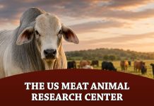 The US Meat Animal Research Center