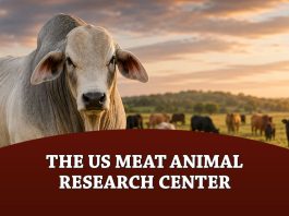 The US Meat Animal Research Center