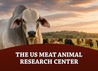 The US Meat Animal Research Center