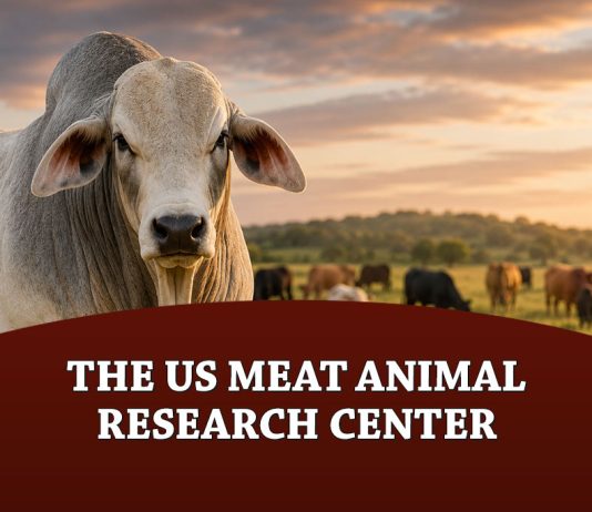 The US Meat Animal Research Center