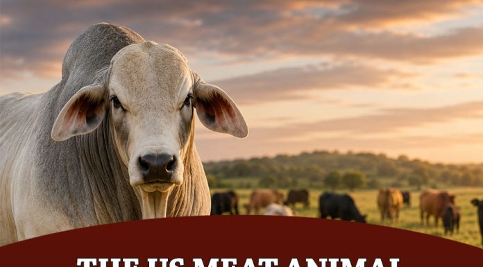 The US Meat Animal Research Center