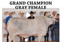 2017 Miami International Agriculture and Cattle Show Results
