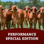 Performance-special-edition