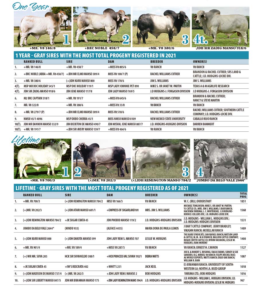 Top Producing Gray Sires by Number of Progeny