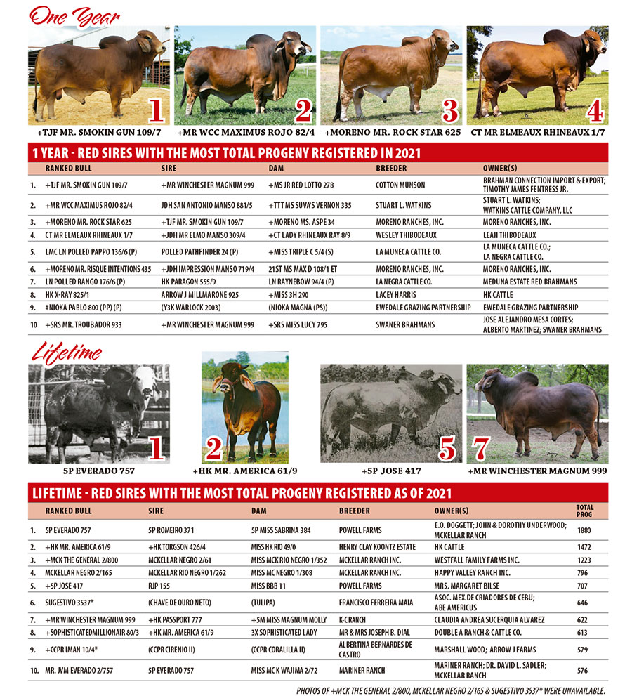 Top Producing Red Sires by Number of Progeny