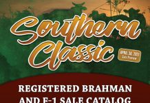 2021 Southern Classic Registered Brahman & F-1 Sale TBJ 2021 Southern Classic