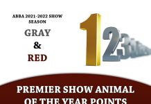 Premier Show Animal of the Year Points – ABBA 2021-2022 Show Season