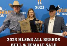 2023 HLS&R All Breeds Bull & Female Sale