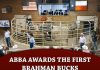 ABBA Awards the First Brahman Bucks