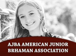 AJBA American Junior Brahman Association