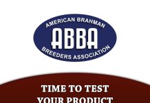 Time to Test your Product