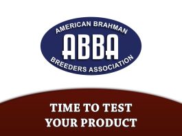 Time to Test your Product