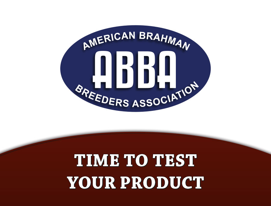 time-to-test-your-product-the-brahman-journal