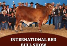 Show Results International Red Bull Show