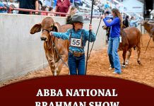 National Brahman Show