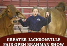 Greater Jacksonville Fair Open Brahman Show
