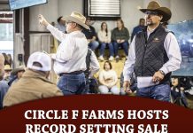 Circle F Farms Hosts Record Setting Sale