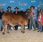 TBJ ABBA Show Animal Winners LADY L MADELINA ROJO