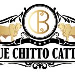 TBJ Bogue Chitto Cattle Co Logo