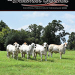 TBJ-FEBRUARY-COVER