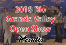 2018 Rio Grande Valley Open Brahman Show TBJ-Rio Grande Valley Open Show Results
