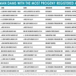 TBJ GRAY BRAHMAN DAMS WITH THE MOST PROGENY REGISTERED