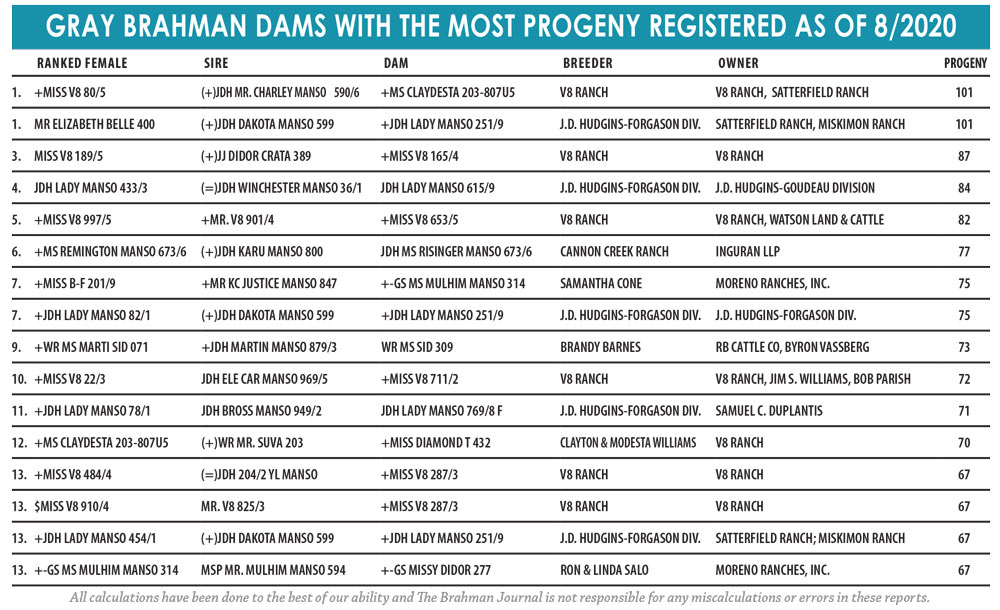 TBJ GRAY BRAHMAN DAMS WITH THE MOST PROGENY REGISTERED