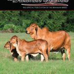 TBJ-MARCH-COVERS