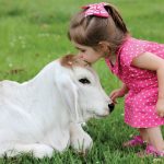 Photo Contest Finalists – #mybrahmanjournalcover1