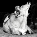 Photo Contest Finalists – #mybrahmanjournalcover3