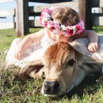 Photo Contest Finalists – #mybrahmanjournalcover4