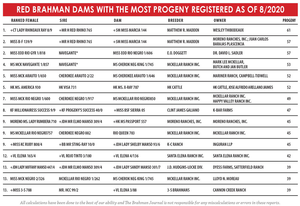 TBJ RED BRAHMAN DAMS WITH THE MOST PROGENY REGISTERED