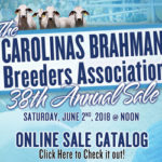 TBJ-Sidebar-Ad-CBBA-Annual-Sale