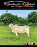 TBJ-littlecover-02-february