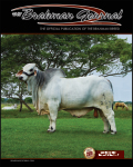 TBJ-littlecover-03-March