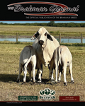 TBJ-littlecover-June-26