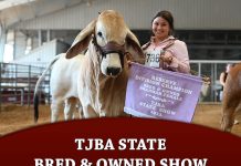 TJBA State Bred & Owned Show