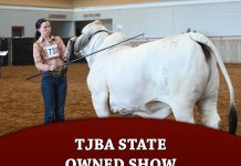 TJBA State Owned Show