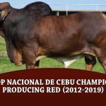 Top-Nacional-de-Cebu-Champion-Producing-Red-(2012-2019)