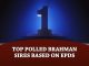 The Brahman Journal’s Top Polled Brahman Sires based on EPDs