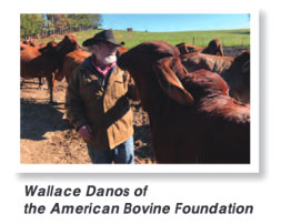 Wallace Danos of the American Bovine Foundation
