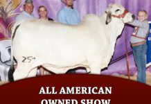 All American Owned Show