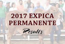 2017 Expica Permanente